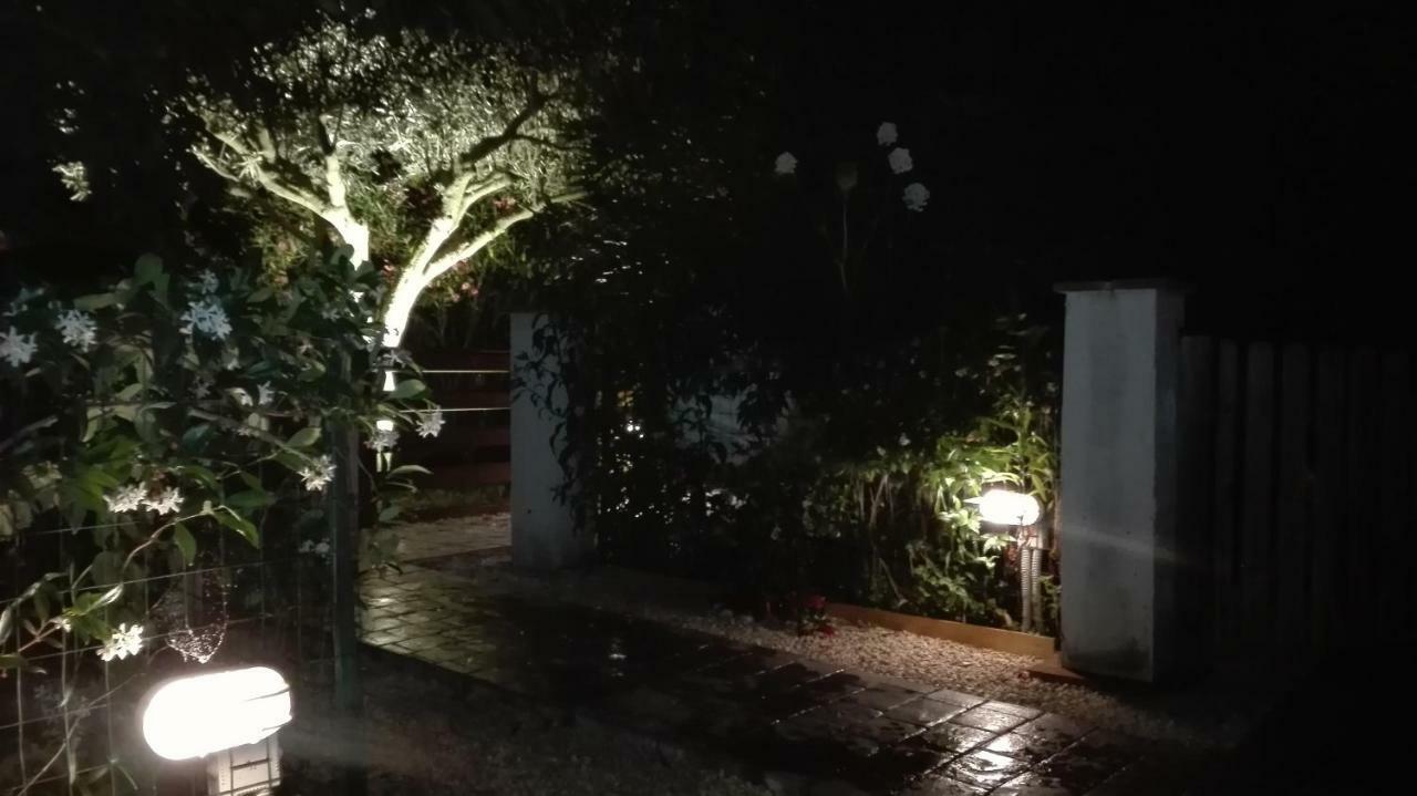 Il Piccolo Rifugio - L'Angoletto Palidoro Εξωτερικό φωτογραφία